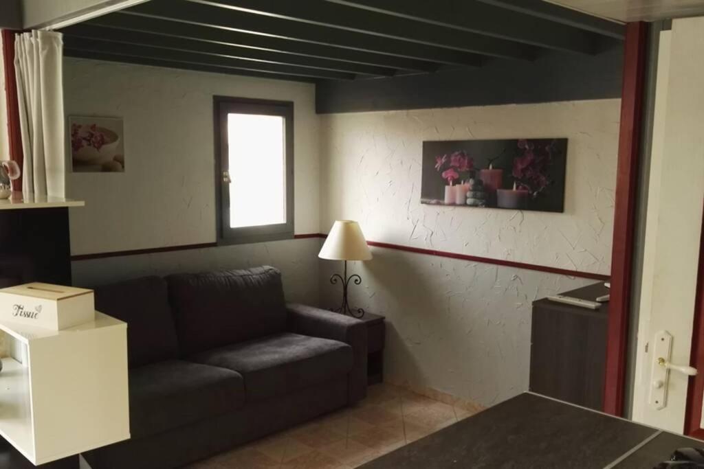 Studio Mezzanine En Residence Avec Piscine Au Village Le Barcarès Exteriér fotografie